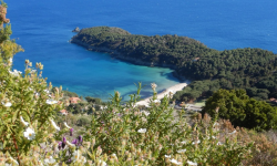 La Via dell’Essenza: le escursioni 2026