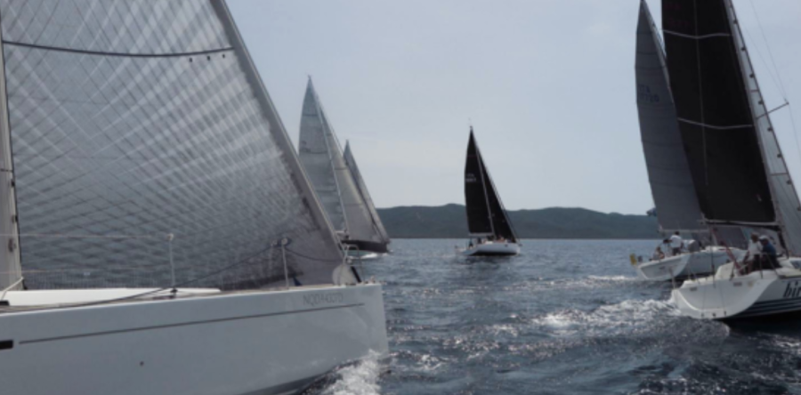 Naviga Elbable con i colori del CVMM