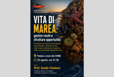 Vita di marea: rischi e opportunità