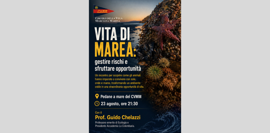Vita di marea: rischi e opportunità